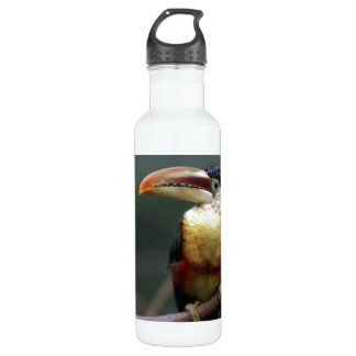 Tuscan At The Zoo 710 Ml Water Bottle