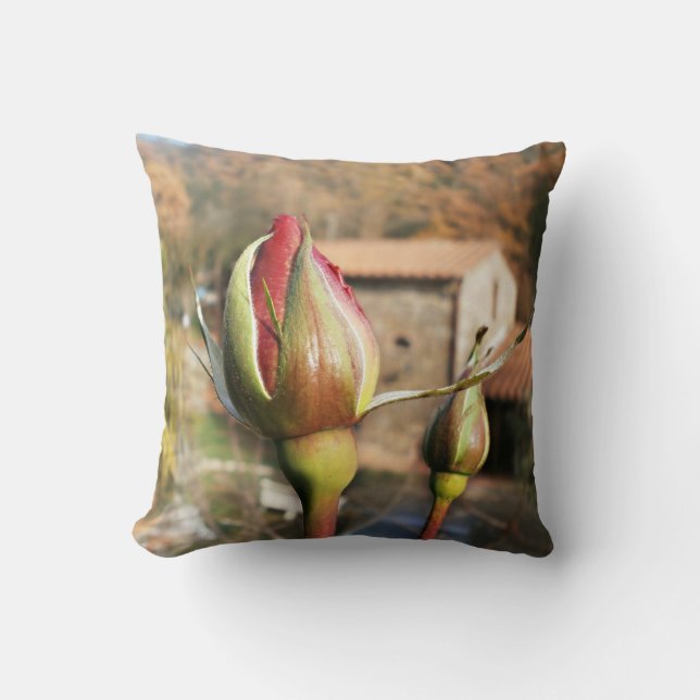 Tuscan autumn rose. Tuscany. Cushion (Front)