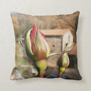 Tuscan autumn rose. Tuscany. Cushion