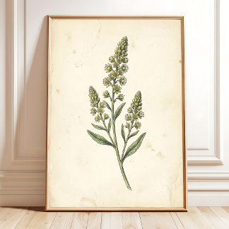 Tuscan Botanical Farmhouse Wall Art
