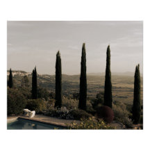 Tuscan landscape hidden behind cypresses (2024)