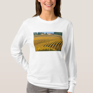 Tuscan-looking Black Walnut Inn above the T-Shirt