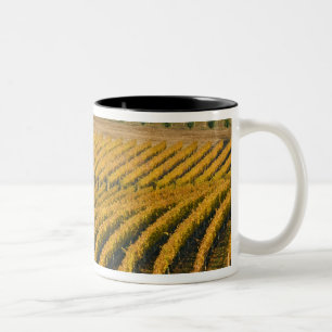 Tuscan-looking Black Walnut Inn above the Two-Tone Coffee Mug