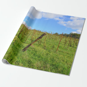 Tuscan Vineyard Wrapping Paper