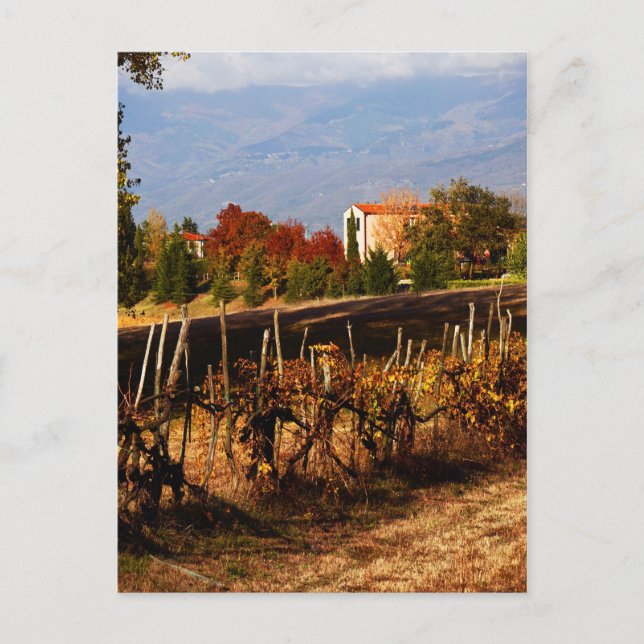 Tuscany Autumn Landscape Postcard (Front)