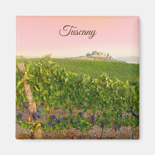 Tuscany Italy Italian Vineyard Photo Magnet