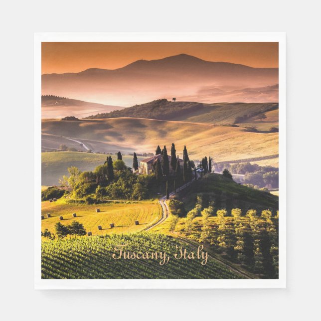 Tuscany, Italy - landscape photograph Napkin (Front)