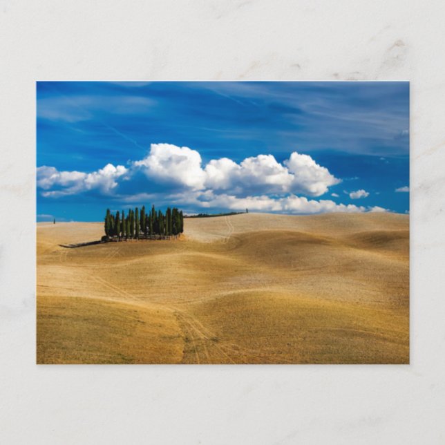 Tuscany (Italy) Plains Landscape  Postcard (Front)