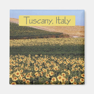 Tuscany Italy Travel Souvenir Photo Fridge Magnet
