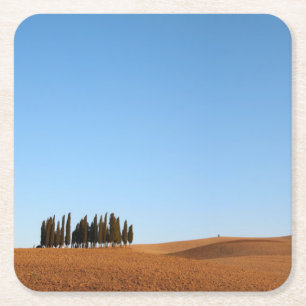 Tuscany landscape with cypress trees coaster