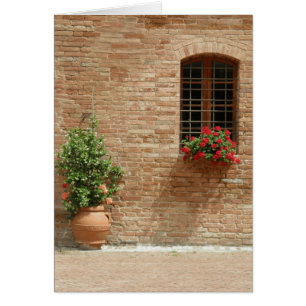 Tuscany pot plants