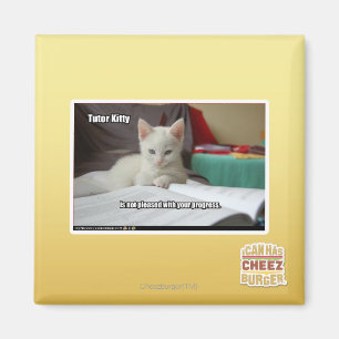 Tutor Kitty Magnet