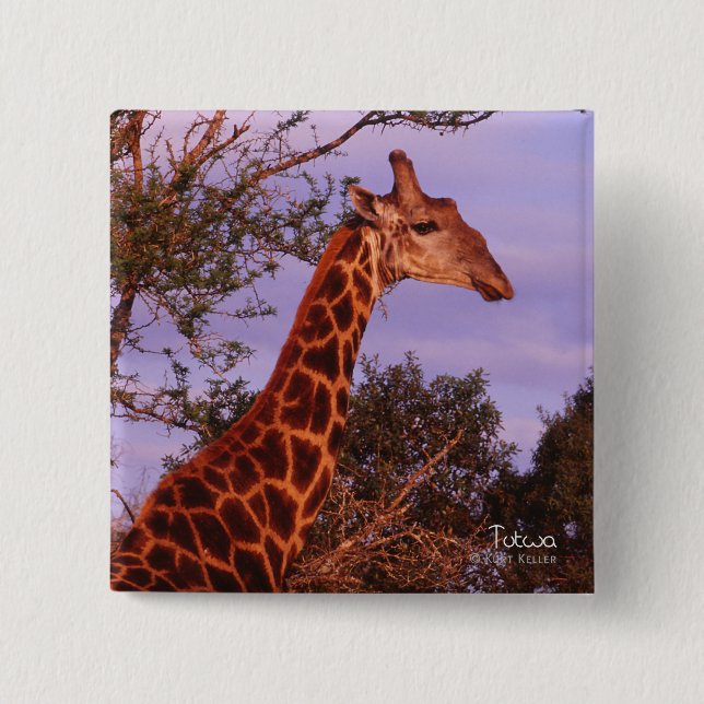Tutwa, giraffe in Botswana, Button (Front)