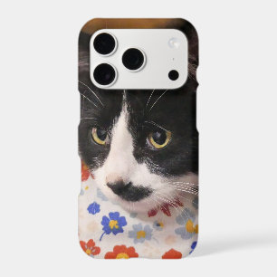 Tuxedo Cat