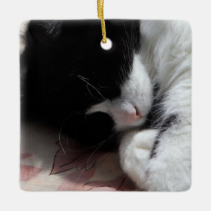 Tuxedo Cat Art Cute Pink Nose Kitty Cats Art Ceramic Ornament
