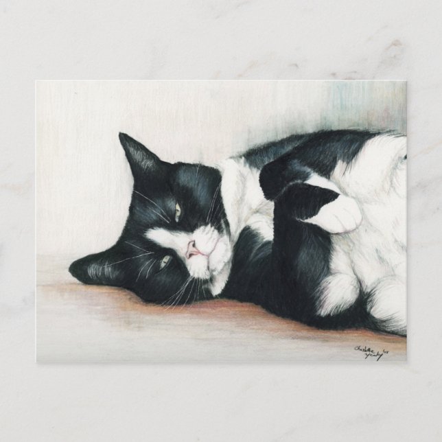 "Tuxedo Cat" Art Postcard (Front)