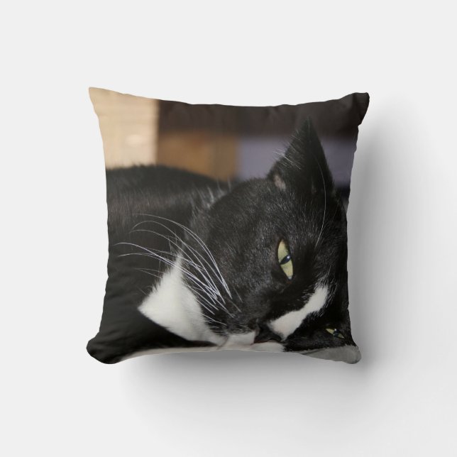 tuxedo cat black and white lying down one eye open cushion (Front)
