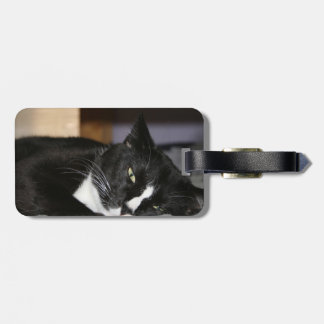 tuxedo cat black and white lying down one eye open luggage tag