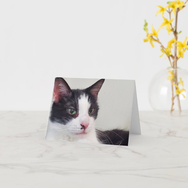 Tuxedo cat card (Yellow Flower)