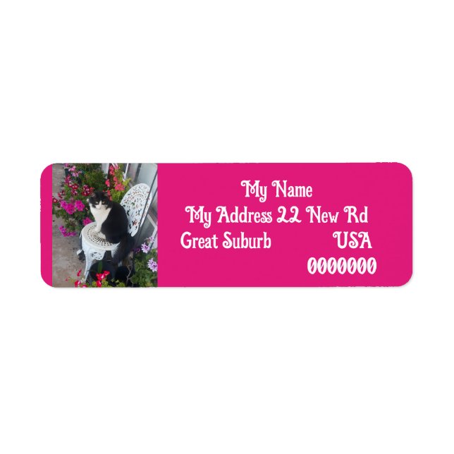 Tuxedo cat Cats Art Return Address Labels (Front)