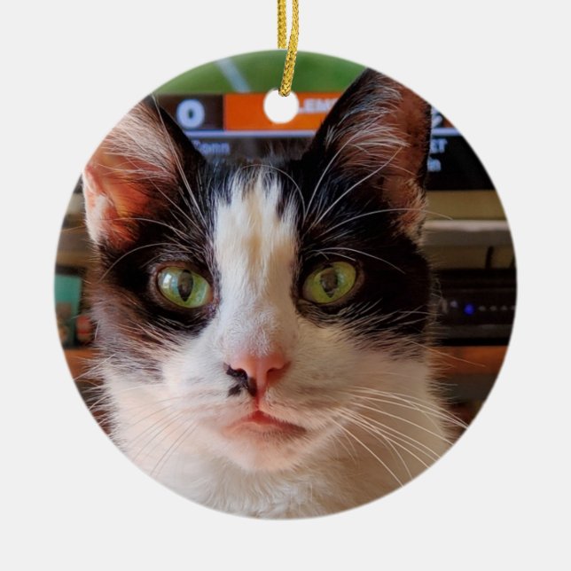 Tuxedo cat ceramic tree decoration (Front)