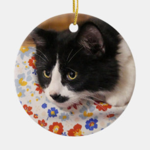 Tuxedo Cat  Ceramic Tree Decoration
