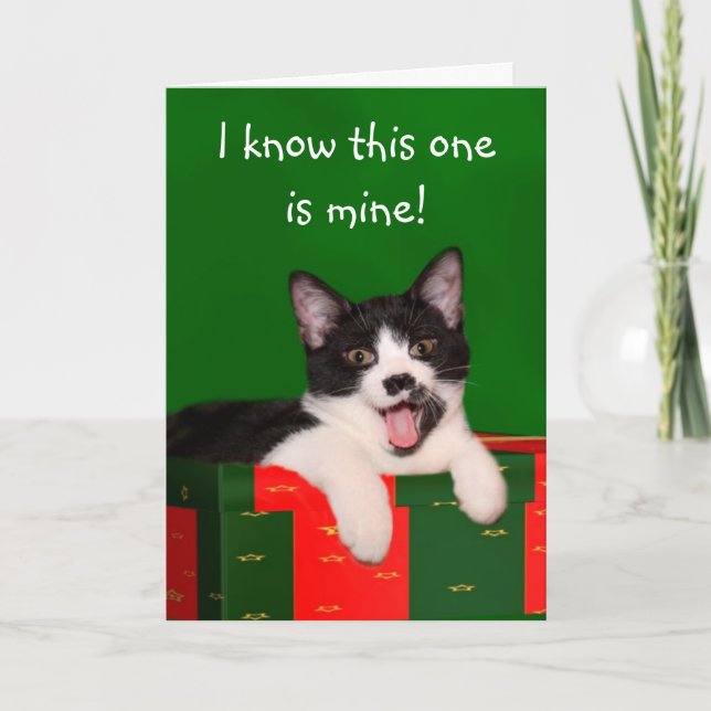 Tuxedo cat Christmas Holiday Card (Front)