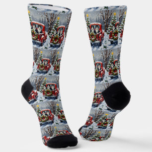 Tuxedo Cat Christmas Red Truck Holiday Socks