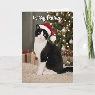 Tuxedo Cat Christmas Santa Hat Funny Merry Catmas Holiday Card