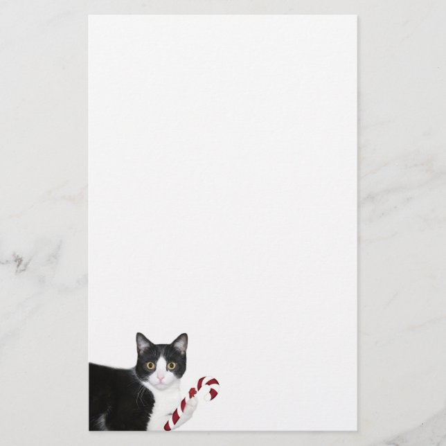 Tuxedo cat Christmas Stationery (Front)