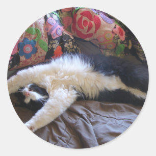 Tuxedo Cat Cute doing a Mexican Wave Postcard Classic Round Sticker