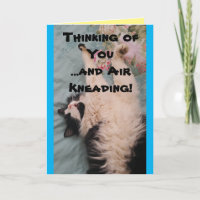 Tuxedo Cat Cute Funny Quote Air-Kneading Card