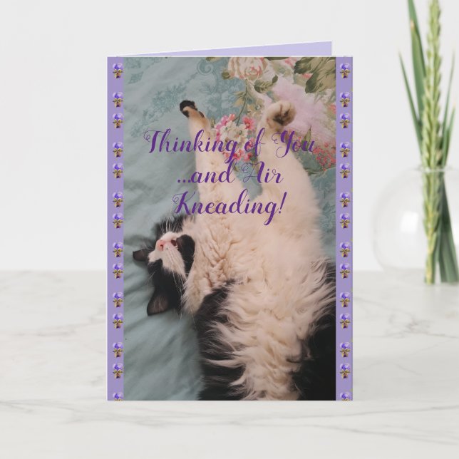 Tuxedo Cat Cute Funny Quote Air-Kneading Card (Front)