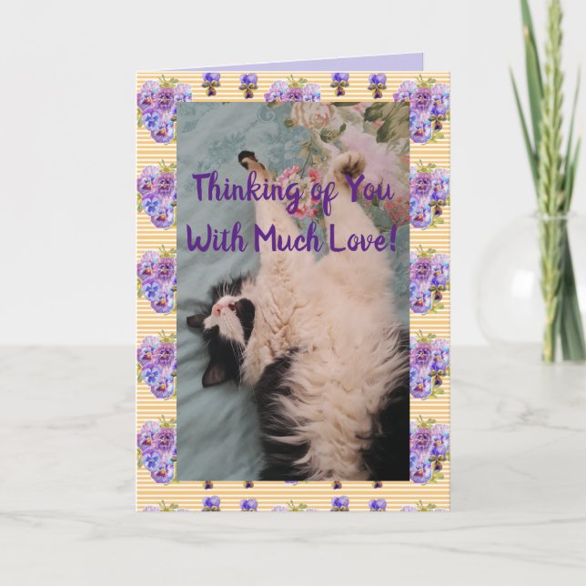 Tuxedo Cat Cute Funny Quote With Much Love Card (Front)