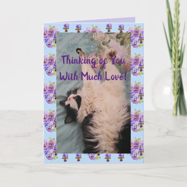Tuxedo Cat Cute Funny Quote With Much Love Card (Front)