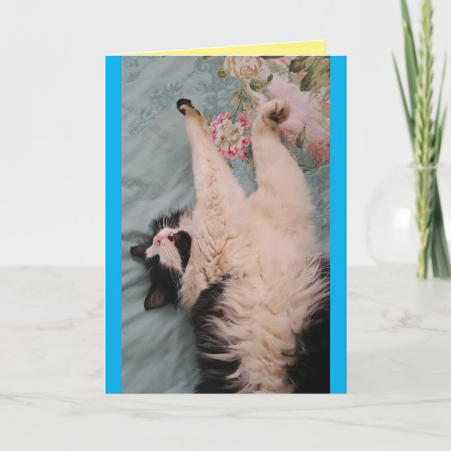 Tuxedo Cat Cute Funny Sleeping Air-Kneading Card (Front)