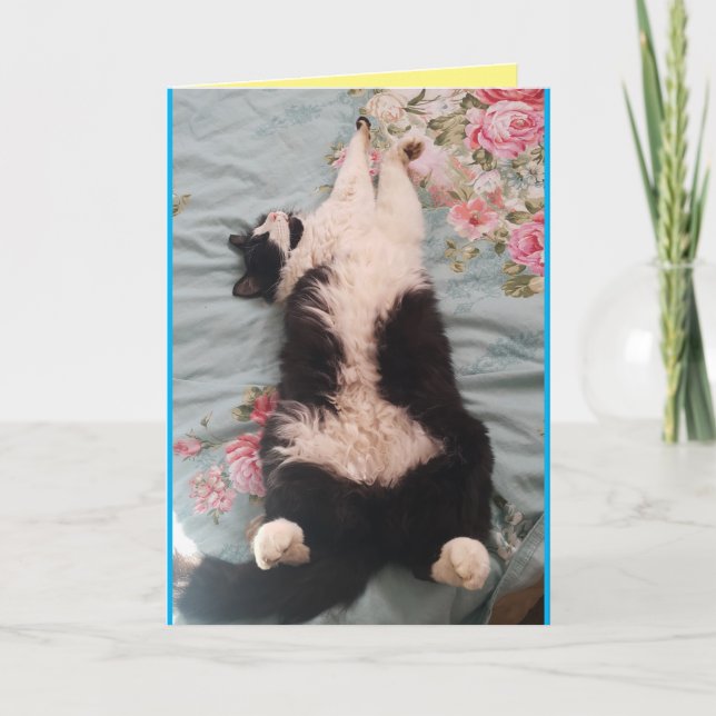 Tuxedo Cat Cute Funny Sleeping Cats Kneading Card (Front)