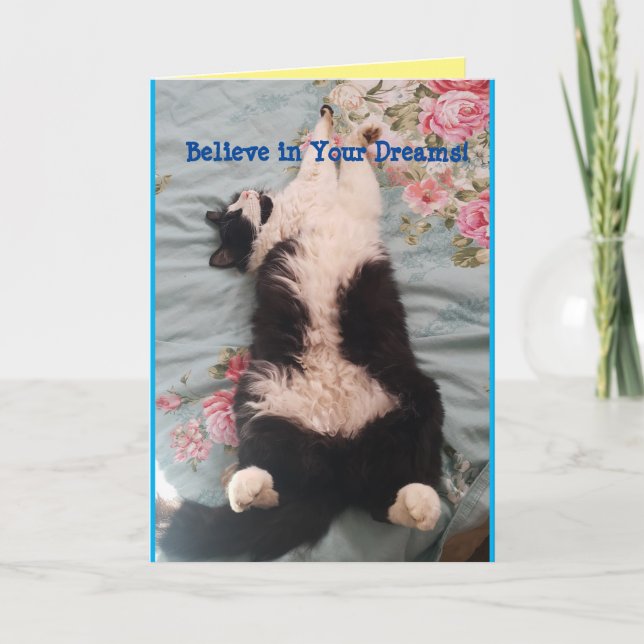 Tuxedo Cat Cute Funny Sleeping Cats Kneading Card (Front)