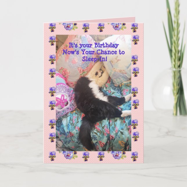 Tuxedo Cat Cute Funny Sleeping-In Cats Viola Card (Front)