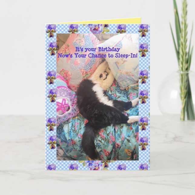 Tuxedo Cat Cute Funny Sleeping-In Cats Viola Card (Front)