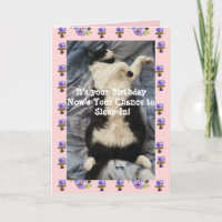 Tuxedo Cat Cute Funny Sleeping-In Cats Viola Card