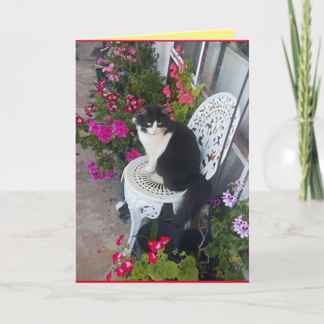 Tuxedo Cat Cute Pretty Flowers Cats Birthday Card (Front)
