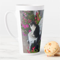 Tuxedo Cat Cute Pretty Flowers Cats Birthday 