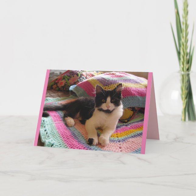 Tuxedo Cat Cute Sleeping on Crochet Rug cats Card (Front)
