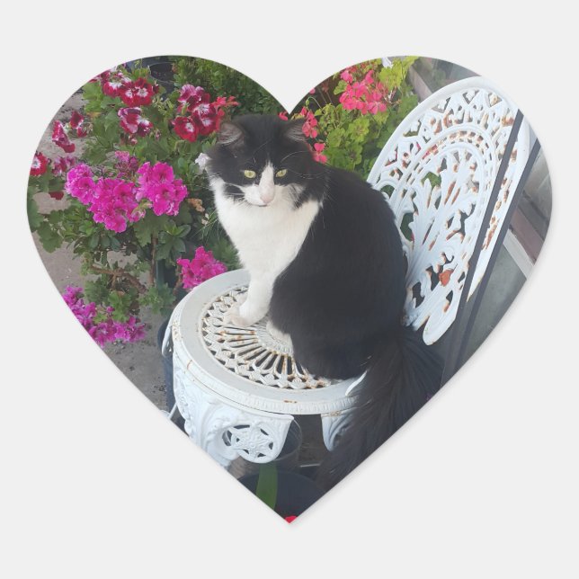 Tuxedo Cat Cute with Pretty Flowers Black Cats Heart Sticker (Front)