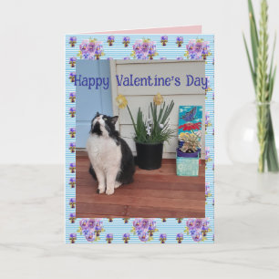 Tuxedo Cat Funny Cute Cats Valentines Day Blue Card