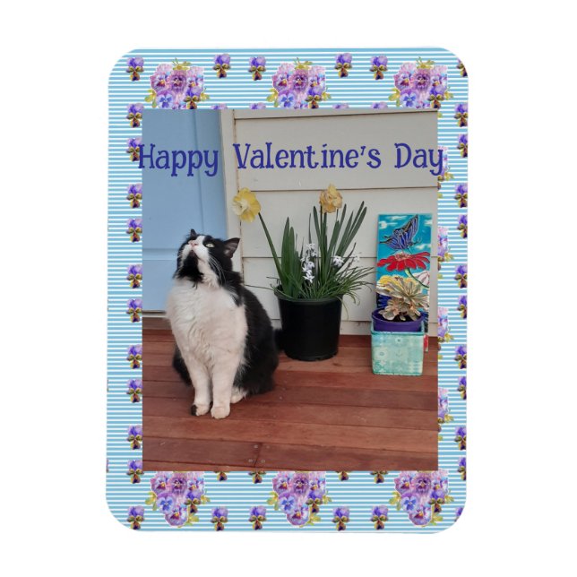 Tuxedo Cat Funny Cute Cats Valentines Day Blue Magnet (Vertical)