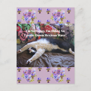 Tuxedo Cat Funny Cute doing a Mexican Wave Quote Postcard