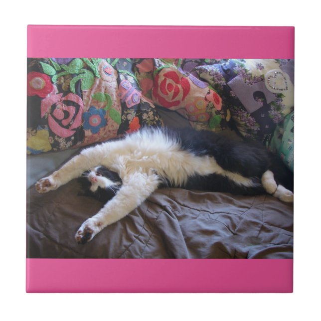 Tuxedo Cat Funny Mexican Wave Cute Birthday Tile (Front)
