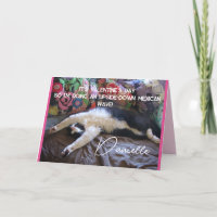Tuxedo Cat Funny Mexican Wave Cute Valentine's Day